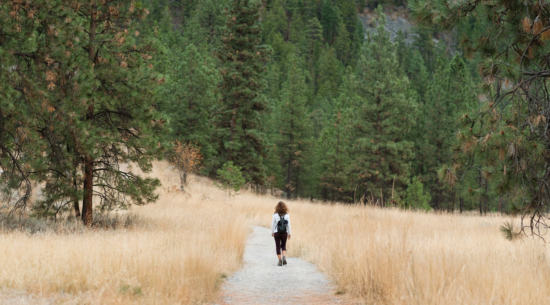 10 essentials of hiking