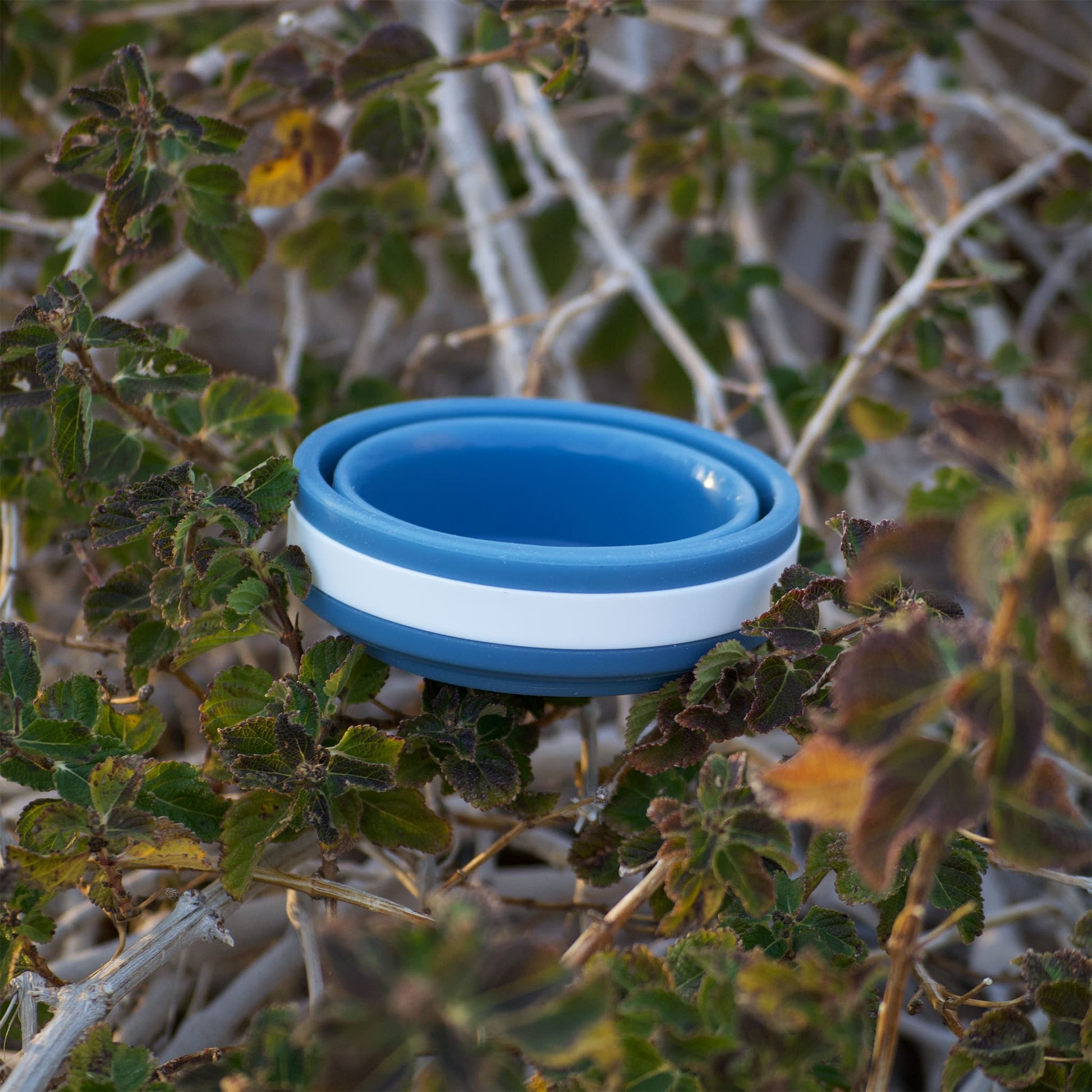 Hiker's Gold Ultralight Collapsible Cup