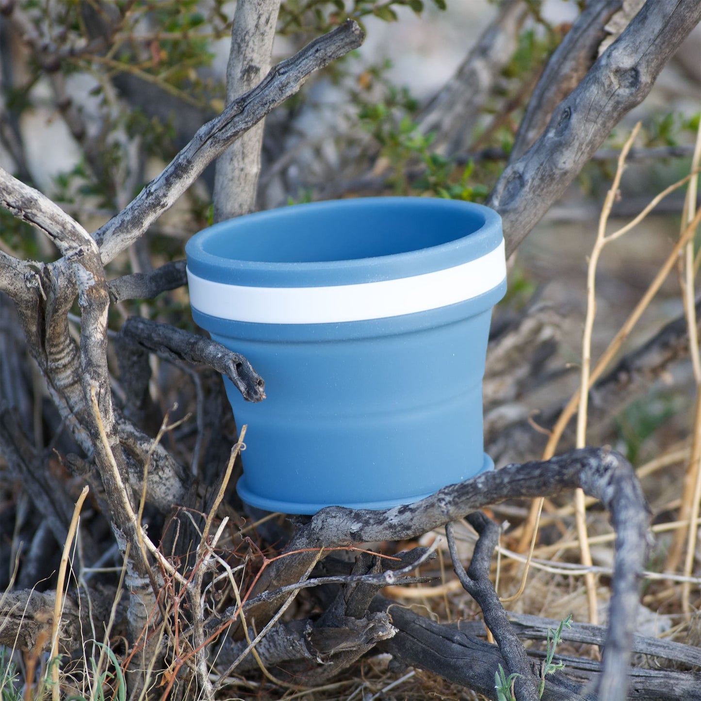 Hiker's Gold Ultralight Collapsible Cup