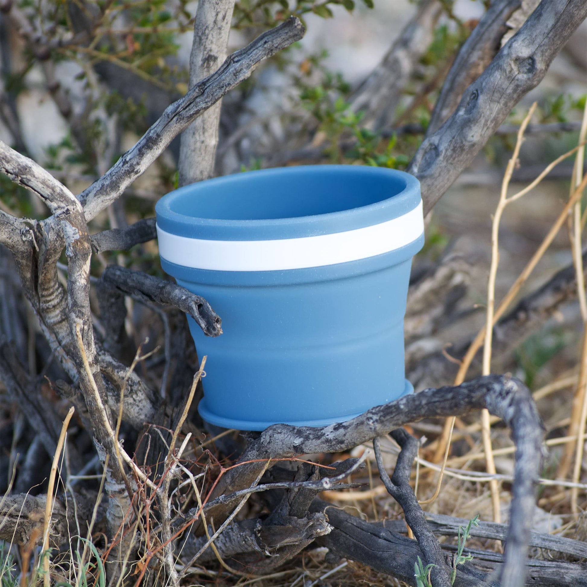 Hiker's Gold Ultralight Collapsible Cup