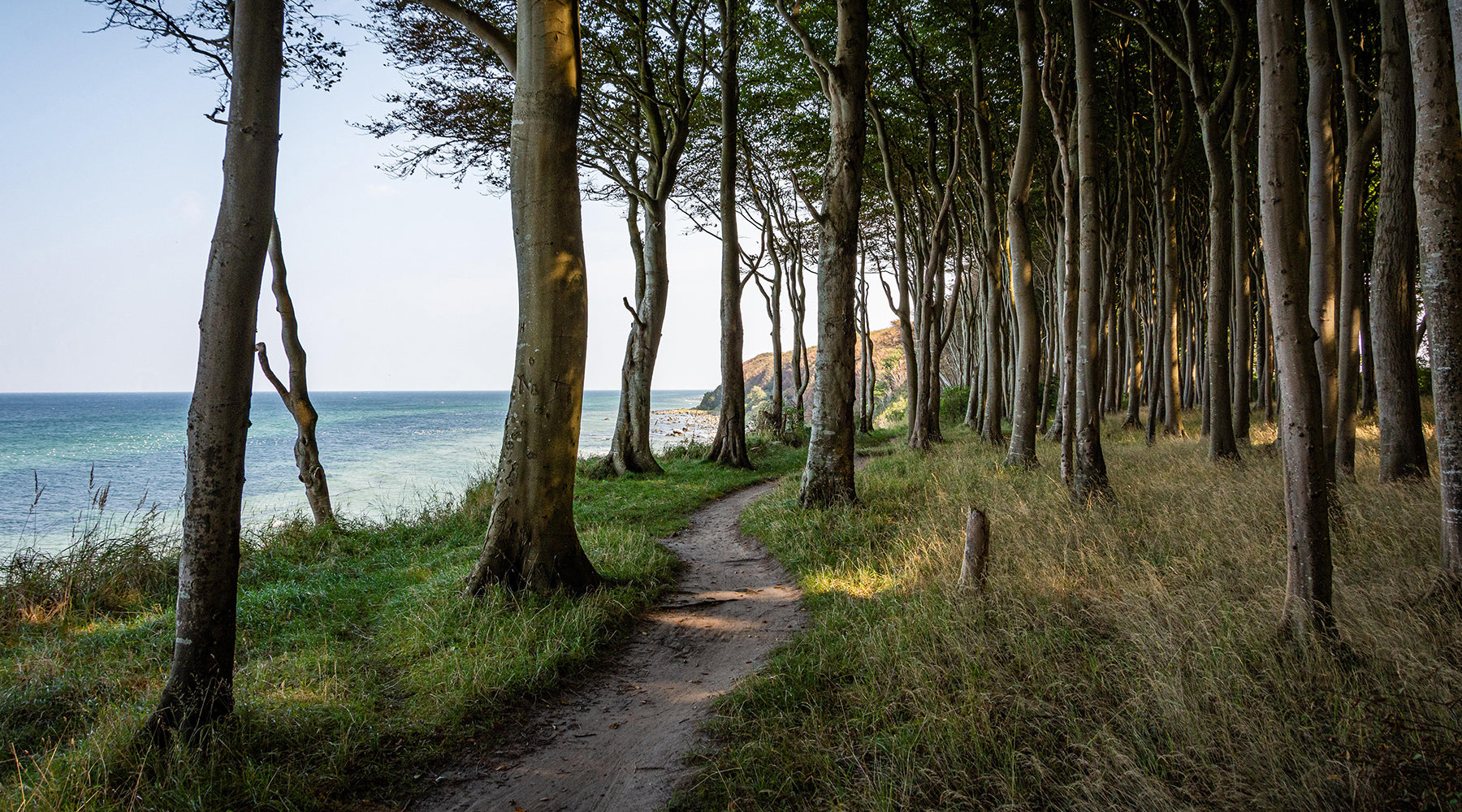 Hiking trail along the sea