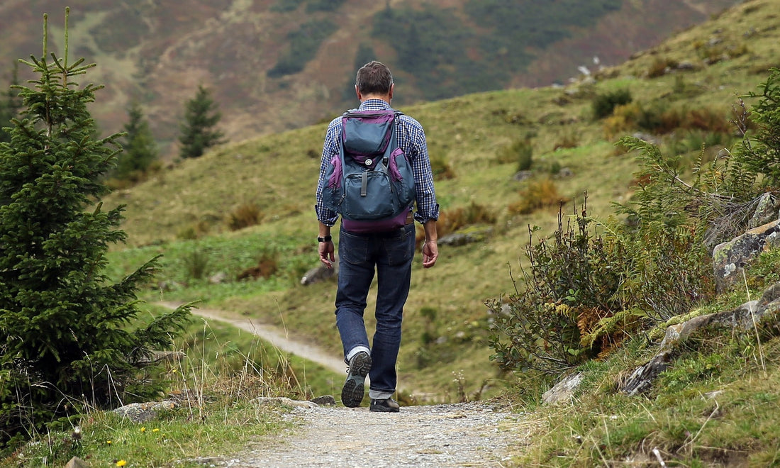 The science behind hiking's cardiovascular benefits